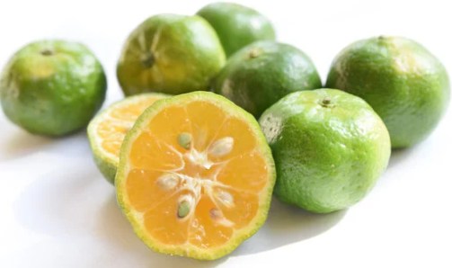 シークワーサー